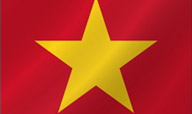 越南30天多次个人旅游签证（电子材料，上海送签）