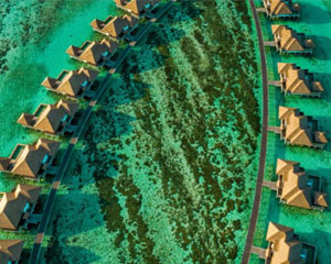︻ʿCOMO Maalifushi