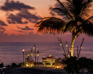 ︻ʿCOMO Maalifushi