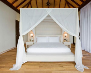 ︻ʿCOMO Maalifushi